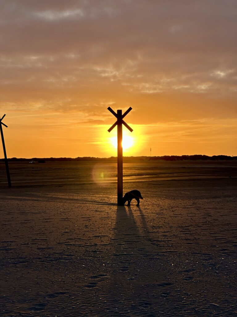 Elly in Dänemark am Strand im Sonnenuntergang